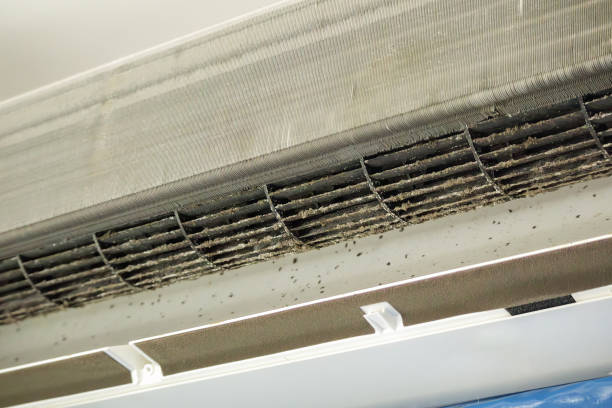 Best Local Air Duct Cleaning Services  in Bertsch Oceanview, CA